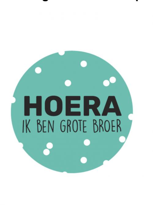 10 stuks Sticker &#34; Ik ben grote broer&#34;