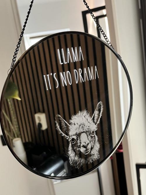 Spiegel Lama no Drama