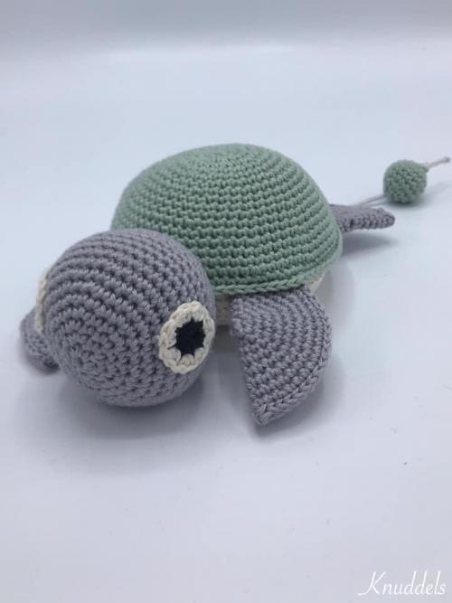Muziekschildpad reseda/grijs