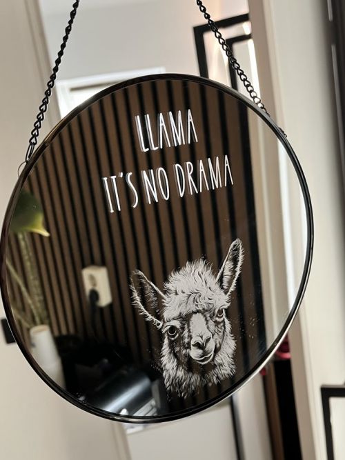 Spiegel Lama no Drama